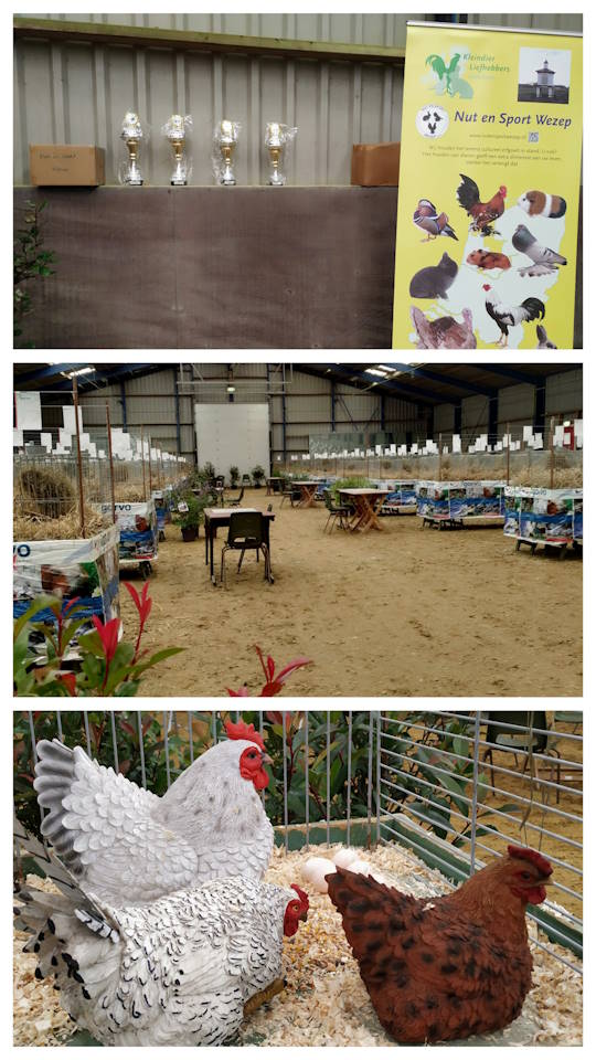 IJsselvliedtshow 2024